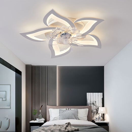 YUNQIGE Ventilateur de plafond personnalisé Light Chadow Smart Eye Protection Home Dining Dining Chambre Master Shaking Head Plafond Van de ventilateur peut être changé