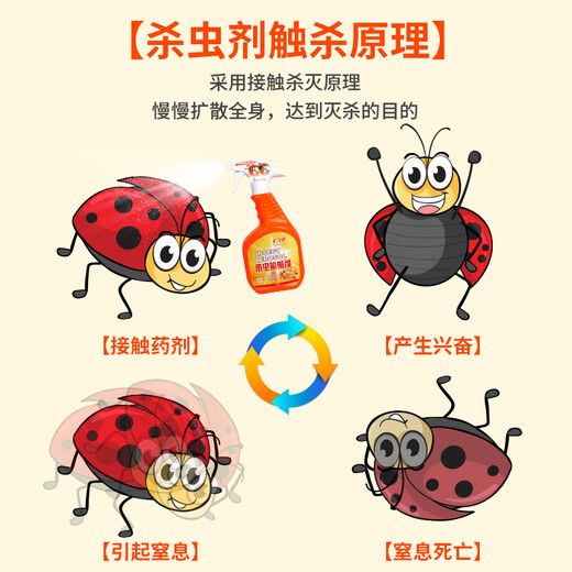 Limpieza del hogar chinches, pulgas, piojos de los libros, medicina para chinches, spray para insectos chupadores de sangre, insecticida especial para el hogar sin lavado