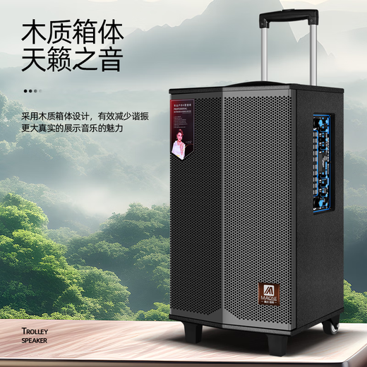 MALONE Outdoor Square Dance Portable Trolley Speaker with Wireless Bluetooth Microphone Live Broadcast Karaoke Guitar Playing and Singing Speaker K-412 Inch Standard Configuration + 2 Original Microphones + Gift Pack Ultimate Edition