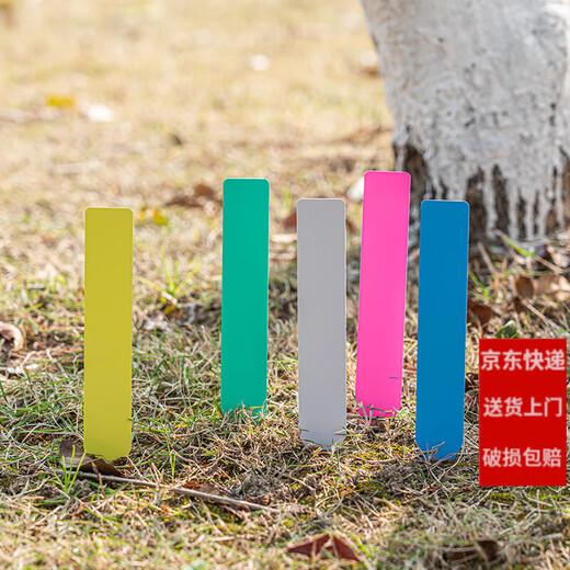 Shipton plástico impermeable suculento bonsai tierra marca jardinería etiqueta una palabra plántula maceta flor nombre etiqueta azul 2*10 (100 fotos)