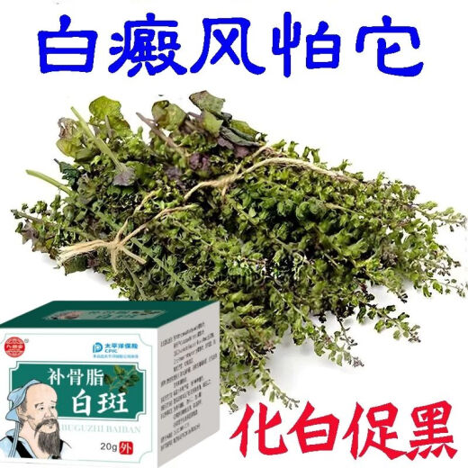 九督堂【皮肤白点白斑】促黑到全身自然皮肤外用常年白斑花斑汗斑HXM679 每天两次坚持用 1盒彡白癜风/白斑专用