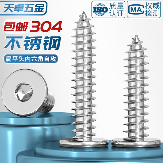 Tianzhuo Hardware 304 stainless steel flat head hexagonal self-tapping screws large flat head ultra-thin head screws low head round head self-tapping screws M2*4 100 pieces