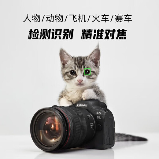 Canon EOS R6 Mark II R6 second generation R62 full-frame microcamera R6 II RF50mm F1.8 STM standard