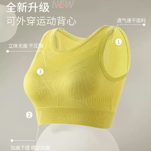 雪茜曼运动内衣女高强度防震健身跑步瑜伽外穿背心聚拢防下垂美背文胸