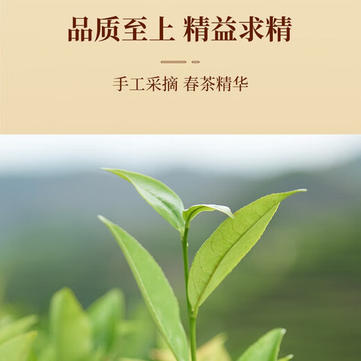 宋凰乌龙茶山韵系列单丛凤凰单枞鸭屎香特级210g中火礼盒装茶叶送礼