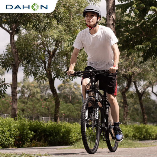 Dahang (Dahon) 26-Zoll