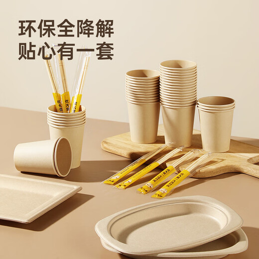 Cui Dahuang sugarcane pulp paper plate disposable tableware waterproof and oil-proof thickened natural color degradable oval plate 9 inches 20 pieces