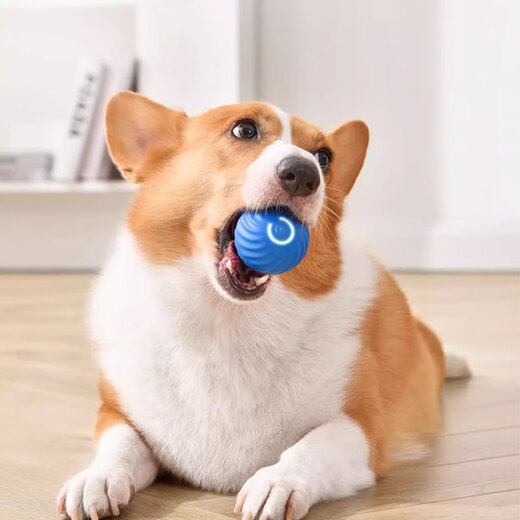 Zigman Dog Toy Bite-Resistant Ball Automatic Dog-Amusing Artifact Self-Happiness Relief Pet Electric Puppy Intelligent Elastic Dog Walking Ball