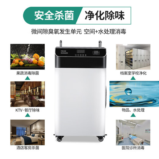 Feili high concentration ozone generator pure water plant pipeline water treatment deodorization sterilization mobile cold storage space dual-purpose disinfection machine 820SY 250 (water treatment dual-purpose with hose)