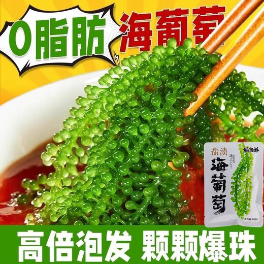 盐渍海葡萄泡发食用 儿童海藻菜海洋蔬菜海草 海葡萄100g*5袋【送芥末酱油】