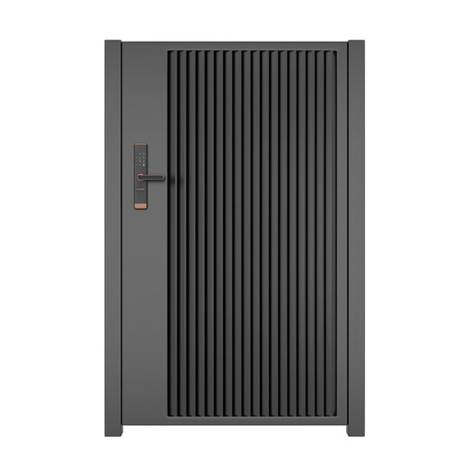 奇立彩别墅庭院门不锈钢单双开现代院子户外门乡村铁艺花园入户门 款式1