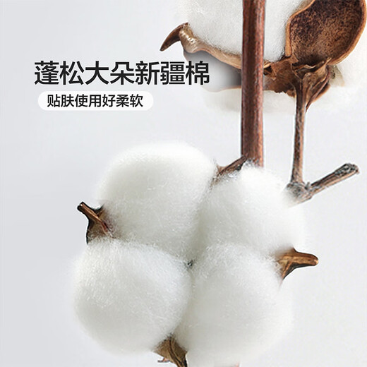 Fuanna children's bed four-piece set 100% cotton infant class A cotton sheets and quilt cover dormitory 1.5 meters bed