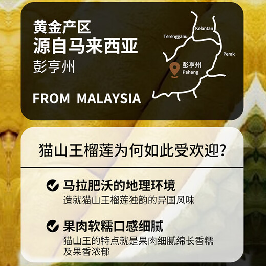 京地达马来西亚猫山王榴莲 净重4.5斤单果4.5斤 液氮冷冻源头直发包邮