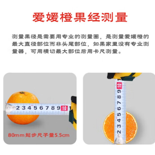 Jingdida Sichuan Ehime No. 38 jelly orange, net weight 9Jin Jin is equal to 0.5kg, gift box with 16 large fruits, straight from the source