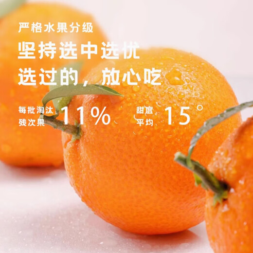 Jingmi Xiangshan Red Beauty Citrus, net weight 1.3Jin Jin equals 0.5kg, 4 pieces, single fruit 140g + Ehime jelly orange source straight hair