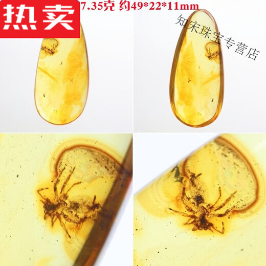 SNQP selected high quality stone Qingling Baltic Sea natural amber insect amber pendant pendant raw stone with insect water drop necklace yellow PA1283