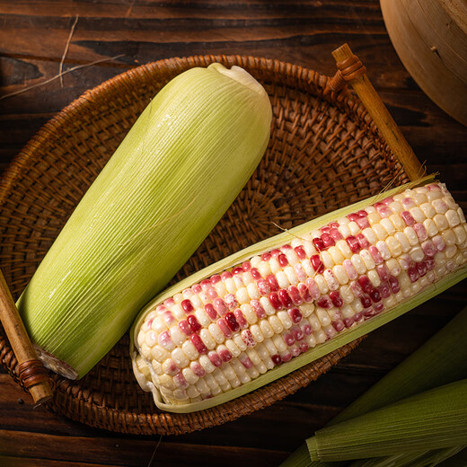 Waxy Corn 600g