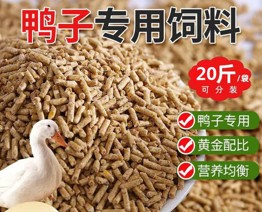 Duck feed for adult large ducks, large grain full-price feed for duck feed for eggs, duck meat and duck, general large duck feed 2Jin Jin is equal to 0.5kg.