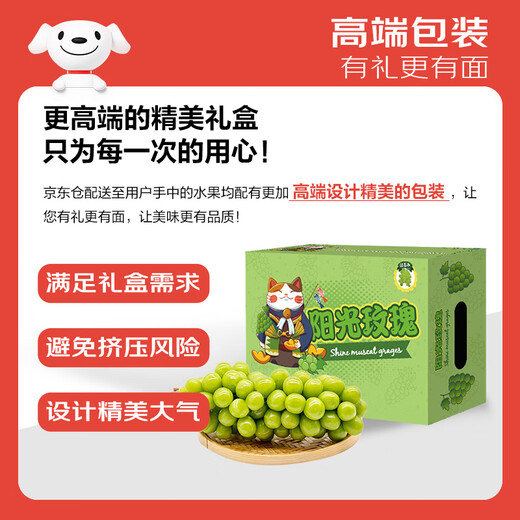 Jingxiansheng Sunshine Rose Grape Green Grape 4-4.5Jin Jin is equal to 0.5kg gift box, single fruit about 10g, fresh fruit, fresh gift box