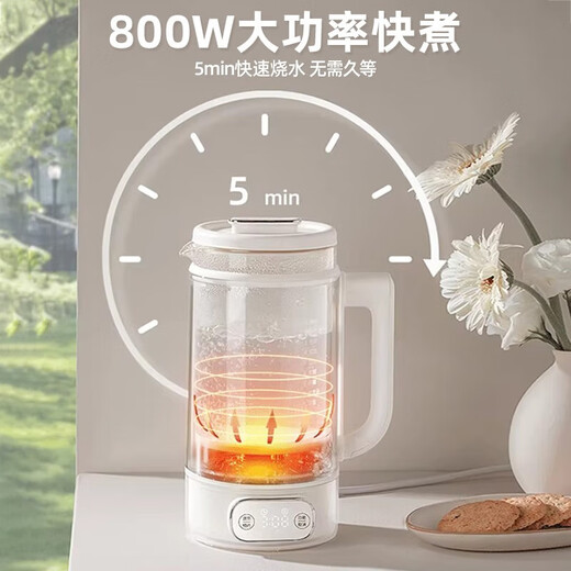 DAEWOO Luoshen health pot double-layer anti-scalding mini constant temperature health pot 316 stainless steel chassis YS10F purple with tea drain