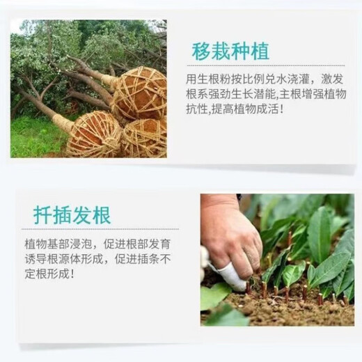 Junyan rooting powder is a general-purpose rapid rooting and seedling strengthening solution for flowering, tree cuttings, transplanting and planting. Rooting powder bagged 500g*2 bags