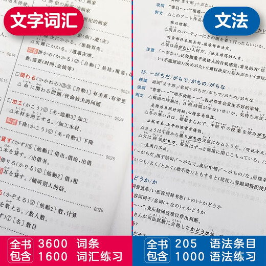 日语红蓝宝书系列 红宝书蓝宝书新日本语能力考试N3套装 文法语法 文字词汇(详解+练习）（套装共2册）红宝书赠音频