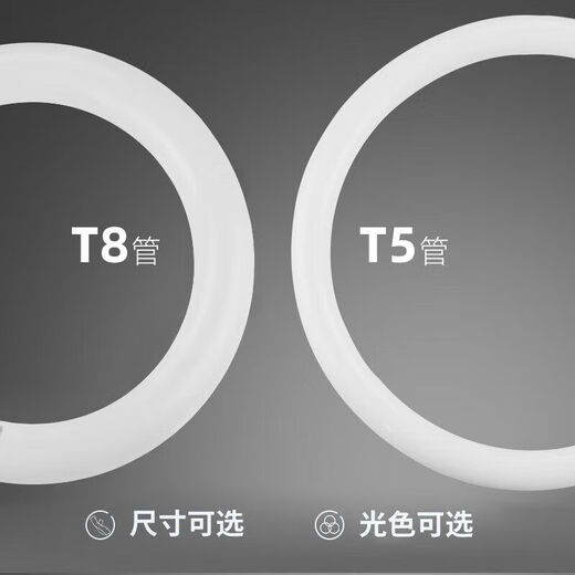 Philips (PHILIPS) T5 ring tube three-color round tube ceiling light wick fluorescent lamp diameter 185*16mm T5 ring tube 22W white light