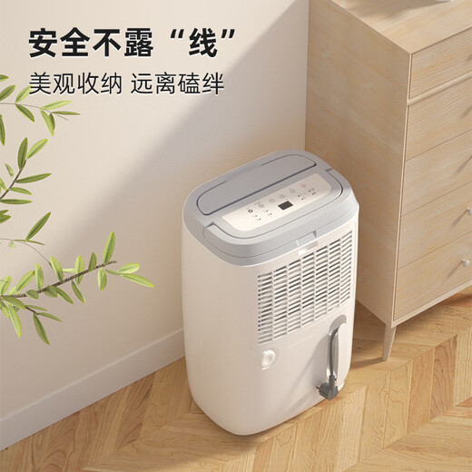 Deye (Deye) dehumidifier/dehumidifier dehumidification capacity exceeds 20 liters/day Household light sound dryer basement drying moisture absorber Mobile phone intelligent control DYD-W20A3