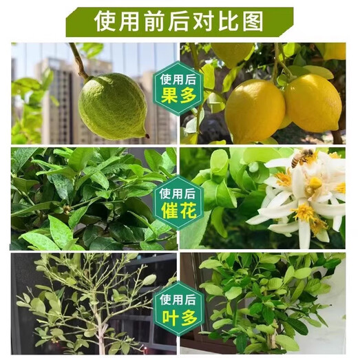 Stanley Compound Fertilizer Special Organic Fertilizer for Vegetables and Fruit Trees Seedlings Lawn Flowers Nitrogen, Phosphorus and Potassium Household Cauliflower Fertilizer Stanley Compound Fertilizer 18-18-18 Original 100 Jin Jin equals 0.5 kg