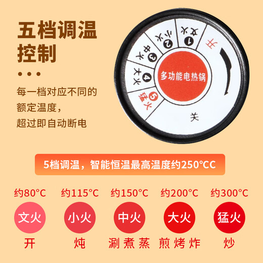 Pu Pai multifunctional electric hot pot electric hot pot three-hole plug power cord electric grill pan shabu-shabu barbecue integrated temperature adjustment universal switching power plug