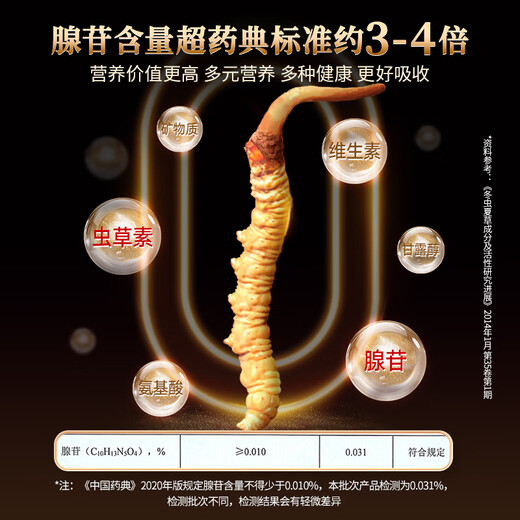 同仁堂品牌冬虫夏草5根/g4g20根虫草礼盒高端午节礼品补品送礼长辈领导