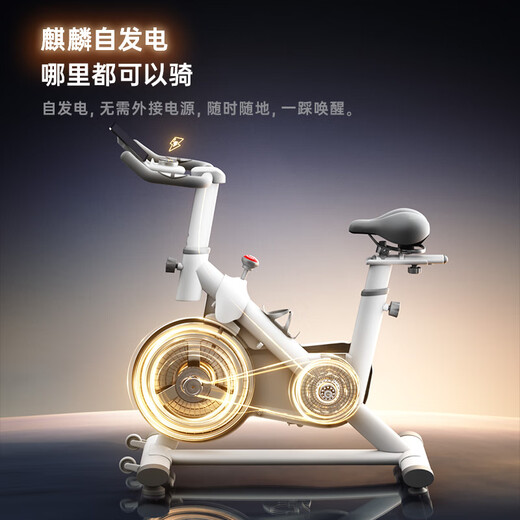 Made in Tokyo, dynamic bicycle home self-generating smart resistance-adjusting sports equipment bicycle B03-05-01-JZ