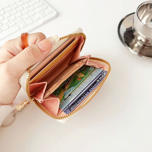 Cute coin purse, cute ins style card holder, carry large capacity pendant, student mini female high-value card holder, bubble bunny coin purse + leather rope + anti-degaussing