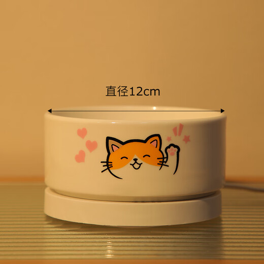 爱帛哆（AIBODUO）猫咪恒温饮水机饮水器酸奶机水碗加热猫喝水喂食喂水神器猫碗冬天 【350ml】雪域白喵陶瓷碗+多档温