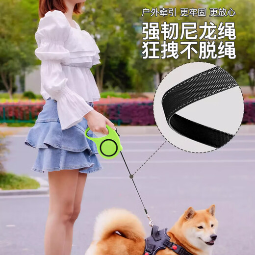 Zigman dog leash 5 meters automatic traction rope + collar small and medium-sized dog walking rope 2-piece set Teddy Golden Retriever dog chain