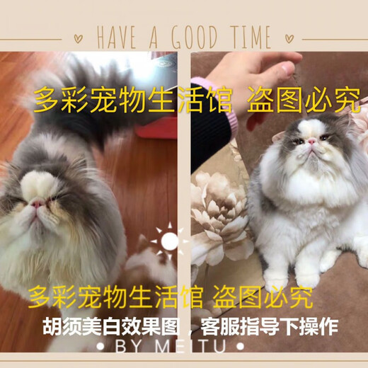 Xushansi pet dog and cat bleaching agent to remove yellow, remove dirt, remove urine stains, and beard dye white dyeing cream, white shot, 30 shots, 50g package