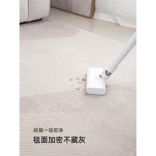 Carpet living room 2024 light luxury sofa floor mat without washing and erasable household waterproof bedroom thick Tianjin Qingqiang-13566 180cm*280cm no hair loss or color loss