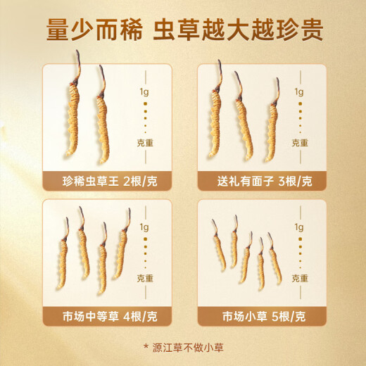 源江草冬虫夏草大号断草35克断虫草 滋补品送长辈家庭装【好滋补认证】