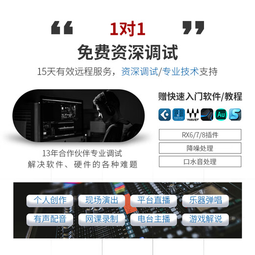 SE popular selection American Neom USB condenser microphone game karaoke live online class dubbing recording professional audiobook built-in sound card radio microphone sE Neom standard configuration