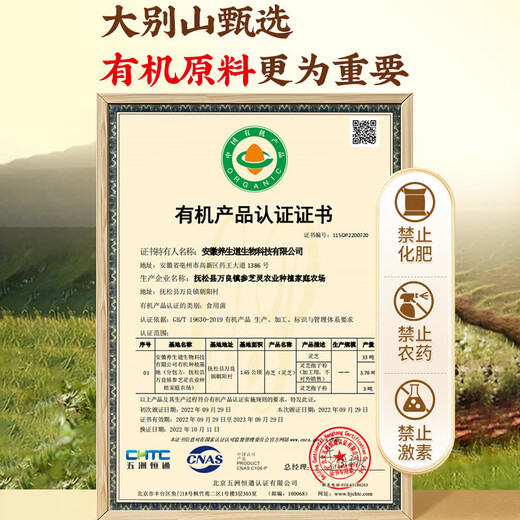 Beijing Tongrentang Break Wall Ganoderma Lucidum Spore Powder Regalo Box Ganoderma Lucidum Spore Polvo Mejimiento de la inmunidad Caja de regalo de regalos de 4 piezas [Familia Zhenli]