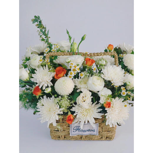 Congshu Xiaobaihua Tomb Sweeping Tomb Sweeping Festival Tomb Sweeping Tomb Sacrifice Commemoration Chrysanthemum White Chrysanthemum Flower Bouquet Tombstone Fran Flower Transparent Sacrifice Flower Basket
