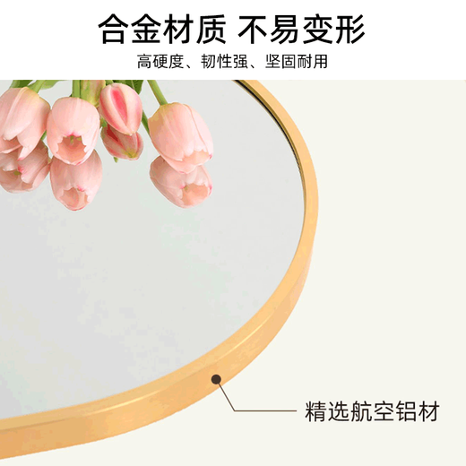 安尔雅穿衣镜 家用落地全身镜女生卧室镜子挂墙壁挂立体试衣镜拱形