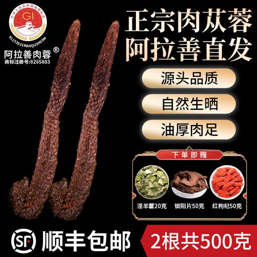 Tuoxiang zhenbao alaxan entier cistanche désert huile extra mous cistanche désert huile épaisse viande de cistanche trempée avec du vin chinois médicinal