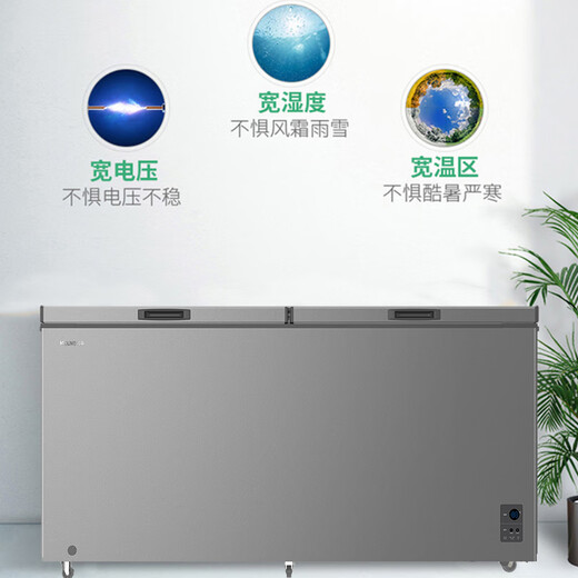 美菱（MeiLing）【线下同款】商用大冷柜冷藏冷冻商超肉食速冻茶叶鲜花储存柜零下40度低温大冷冻冰柜 BC/BD-736DTE【PCM内胆】星砂银