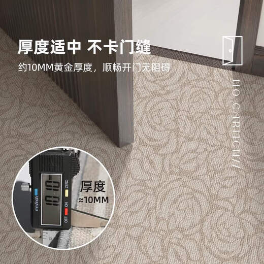 
Floor mat entrance door mat feels door entrance foot mat dirt-resistant no-wash carpet outside household door cutting mat Chaomu-14109 120cm*180cm upgrade 9th generation dirt-resistant Falman