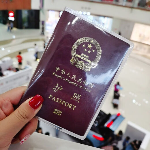 护照保护套两本护照套透明加厚防水通用旅行通行证壳证件套 护照磨砂款 （两本）