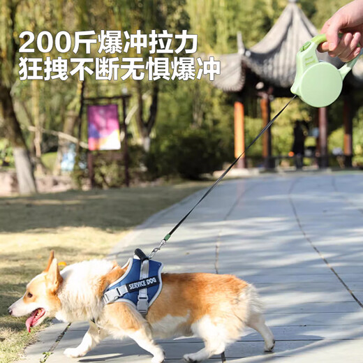 Dipur Dog Leash Automatic Retractable Dog Rope Dog Chain Medium Small Dog Walking Puppy Pet Supplies* Dark Green