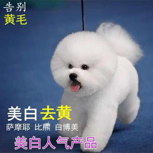 Xushansi pet dog and cat bleaching agent to remove yellow, remove dirt, remove urine stains, and beard dye white dyeing cream, white shot, 30 shots, 50g package