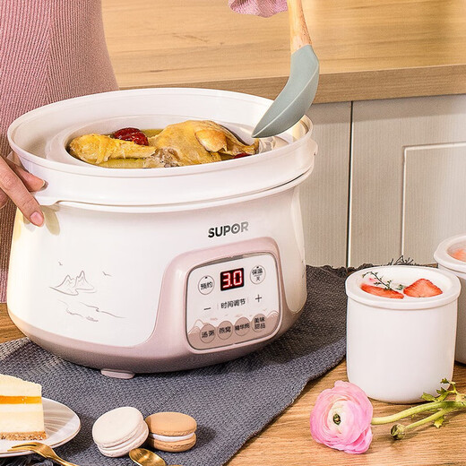 SUPOR electric stew pot, water-proof stew pot, household multi-functional steaming and cooking all-in-one soup pot 2.5L ceramic four-gallon 3-5 people smart reservation baby porridge baby food supplement electric stew pot DZ25YC831 2.5L