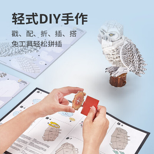乐立方（CubicFun）乐立方国家地理儿童节礼物科普珍稀动物模型玩 DS1098h大白鲨